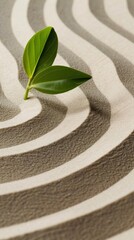 Aufkleber - Abstract Zen Garden Green Leaf in Symmetrical Sand Waves, High Definition, Long Exposure , Calming Tones, Wide-Angle Perspective