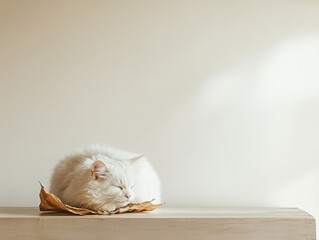Aufkleber - Abstract Long Exposure of a White Cat on a Soft Pink Background, Featuring Symmetrical Blurred Elements in High Definition