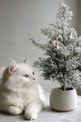 Poster - White Cat and Decorated Miniature Christmas Tree on Table Against Minimalist White Background, Pastel Colors, Natural Light, Holiday Mood, 4x3 Format