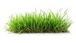 © Youttakone - Isolated green grass on a white background