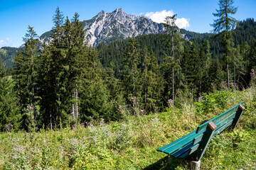 Wall Mural - A green bench with a view of the Reiter Alm mountain range (also Reiter Alpe), a table mountain range between Berchtesgaden and the Salzburger Saalachtal (Salzburg, Austria) in the Eastern Alps. 