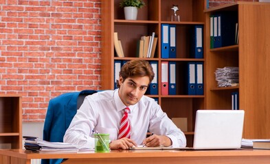 Wall Mural - Young handsome employee sitting in the office