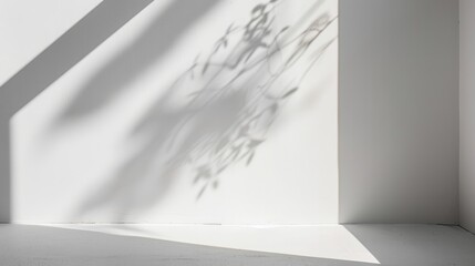 Poster - Sunlight shines through a window casting abstract shadows of branches on a white wall, creating a minimalist and natural light effect.