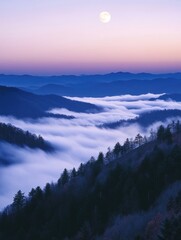 Wall Mural - Mountain under full moon