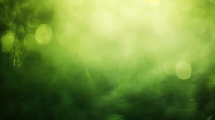 Poster - A blurred green background with bokeh circles created by sunlight shining through the leaves of a forest. The overall effect is soft and dreamy, evoking a sense of peace and tranquility.