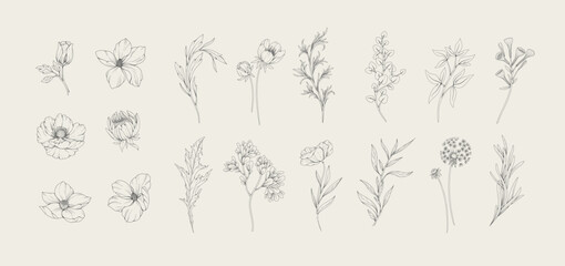 Wall Mural - botanic set of detailed various flowers and brunch. luxury vintage floral collection for wedding inv