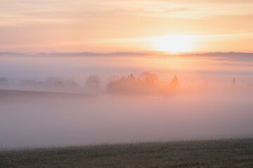 Wall Mural - beautiful nature landscape, amazing view of autumn meadow. sun beams through fogg. magic colours of 