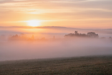 Wall Mural - beautiful nature landscape, amazing view of autumn meadow. sun beams through fogg. magic colours of 
