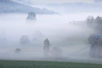 Wall Mural - beautiful nature landscape, amazing view of autumn meadow. sun beams through fogg. magic colours of 