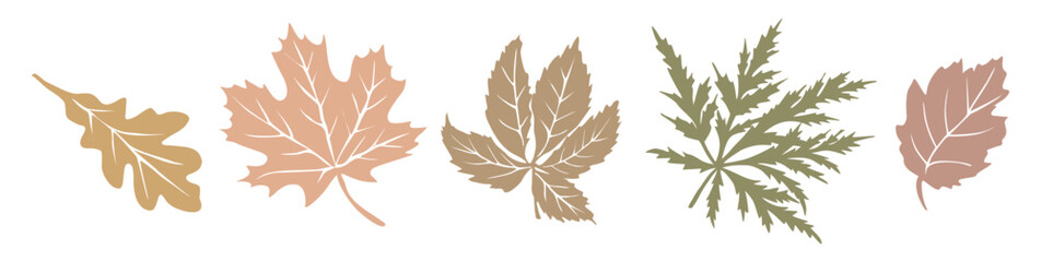 Sticker - Set of pastel silhouettes of autumn leaves and branches. Fall maple, oak leaves, twigs. Vector  outline illustrations isolated on transparent background.	