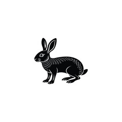 Wall Mural - rabbit isolated on white