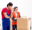 © Elnur - Professional movers doing home relocation