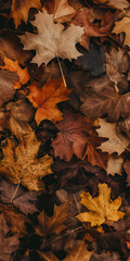 autumn leaves background wallpaper