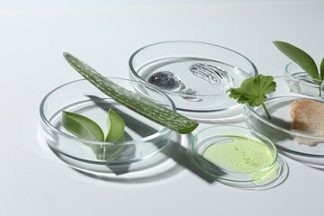 Poster - Petri dishes with different cosmetic products and aloe vera leaves on white background, closeup