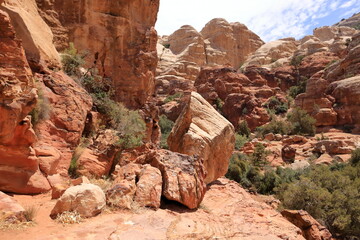 Typical landscape and rock forms in Dana Biosphere Nature Reserve National Park, Jordan