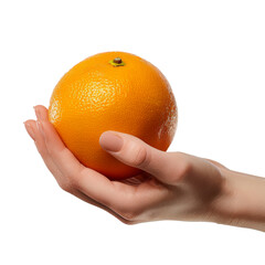 Hand Holding a Fresh Orange, Ideal for Food and Health Concepts