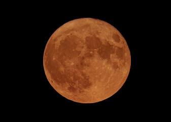 Wall Mural - sturgeon full moon glowing orange rising just above the horizon over ottawa, ontario, canada, aug 1,