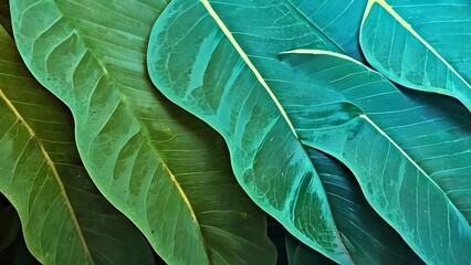 Wall Mural - a close up of leaves that is green and blue in color in the background are brown