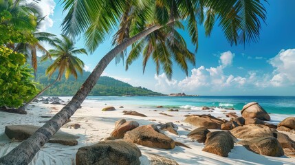 Sticker - beach with palm trees and sky