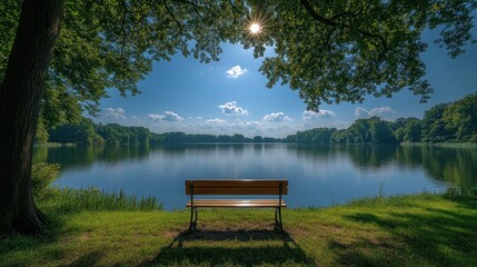 Canvas Print - Tranquil Lake View with a Bench