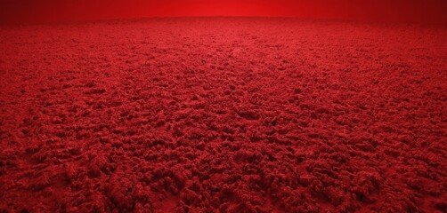 Poster - red carpet with light shining through it