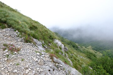 Poster - Picturesque view of fog covering mountains with green grass