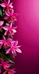 Poster - bunch pink flowers on background