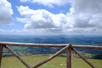 Sticker - Picturesque view of green forest in mountains