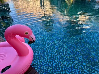 Poster - Outdoor swimming pool with clear water and inflatable float in shape of flamingo at luxury resort