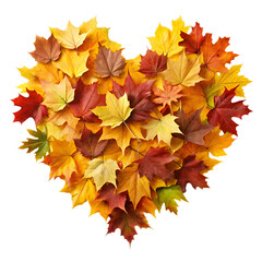 Wall Mural - Autumn Heart-Shaped Leaves Arrangement, Isolated on White Transparent Background, PNG Element. Heart made from autumn colorful foliage. Autumn love