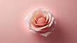 © habiburrahaman - Pink rose on pastel pink background with copy space. 3d rendering