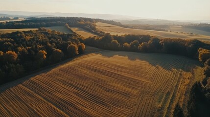 Wall Mural - Aerial drone view of beautiful autumn farmland and picturesque natural landscape from above