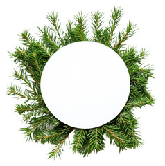 Wall Mural - pine branches arranged around a blank mirror, cut out - stock png.