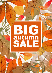 Wall Mural - Autumn Sale, Fall, Thanksgiving background. Abstract vector template for poster, invitation, card, flyer, cover, banner, brochure, social media, sales advertising