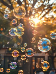 Poster - Colorful soap bubbles floating in the air, with sunlight shining through them. Generative AI.