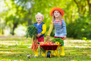 Wall Mural - Kids picking vegetables on organic farm