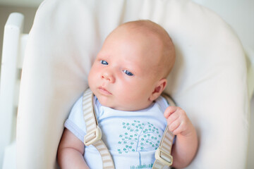 Wall Mural - Newborn baby boy in high chair