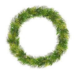 Wall Mural - wreath of thuja twigs isolated on white background. design element for creating holiday arrangements
