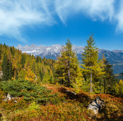 Poster - Peaceful autumn Alps mountain view. Reiteralm, Steiermark, Austria.