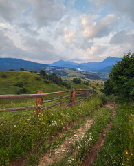 Wall Mural - Twilight summer Carpathian mountain countryside meadows. with beautiful wild flowers