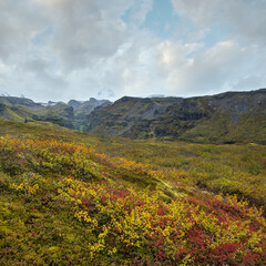 Wall Mural - Beautiful autumn view of Mulagljufur Canyon Iceland. Not far from Ring Road and at the south end of Vatnajokull icecap and Oraefajokull volcano.