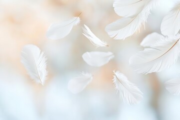 Poster - Floating feathers in mid-air, softly drifting in a peaceful environment, offering a serene backdrop with ample room for text placement.