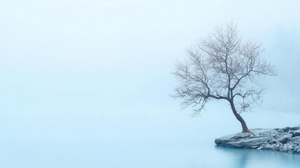 Poster - Minimalist aesthetic capture of a serene landscape, soft tones and balanced composition, with ample room for text placement.