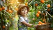 © rabbit75_fot - A cute child with basket and fresh orange fruit in plantation farm field