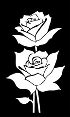 Wall Mural - white graphic linear drawing of rose flower on black background, design