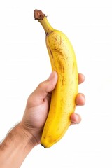 Hand holding a fresh ripe golden yellow banana fruit isolated over plain background