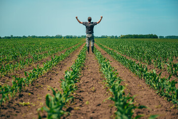 Wall Mural - Successful farmer raising hands in victorious pose in corn field