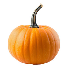 A harvest pumpkin isolated on a white or transparent background.