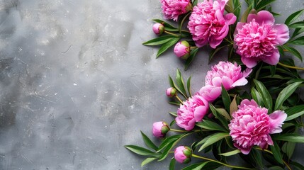 Poster - Vibrant pink peonies in full bloom on grey background top view close up Ample space for text