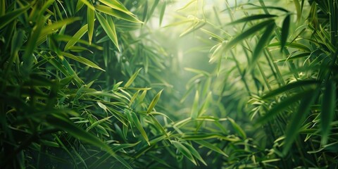 Wall Mural - Botanical bamboo forest amidst lush tropical greenery